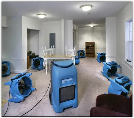 Water Damage Restoration services in Josephine, TX