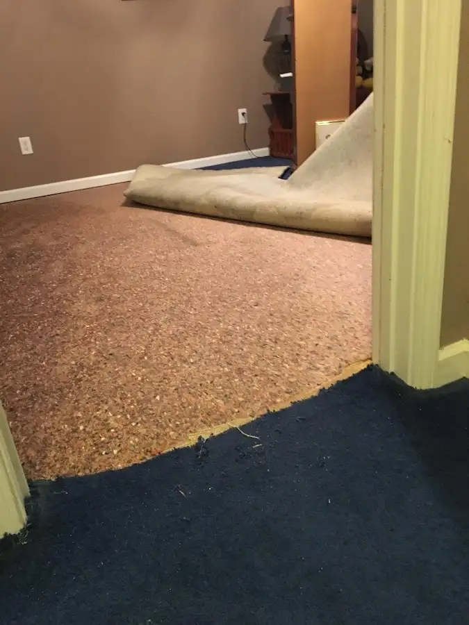 Carpet pad removal revealing water damage during Drying & Dehumidification in Josephine