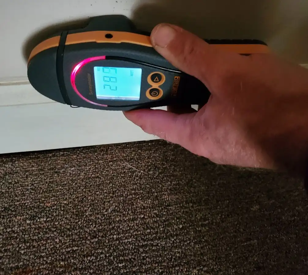 Moisture detection at baseboard during Storm Damage Restoration in Josephine